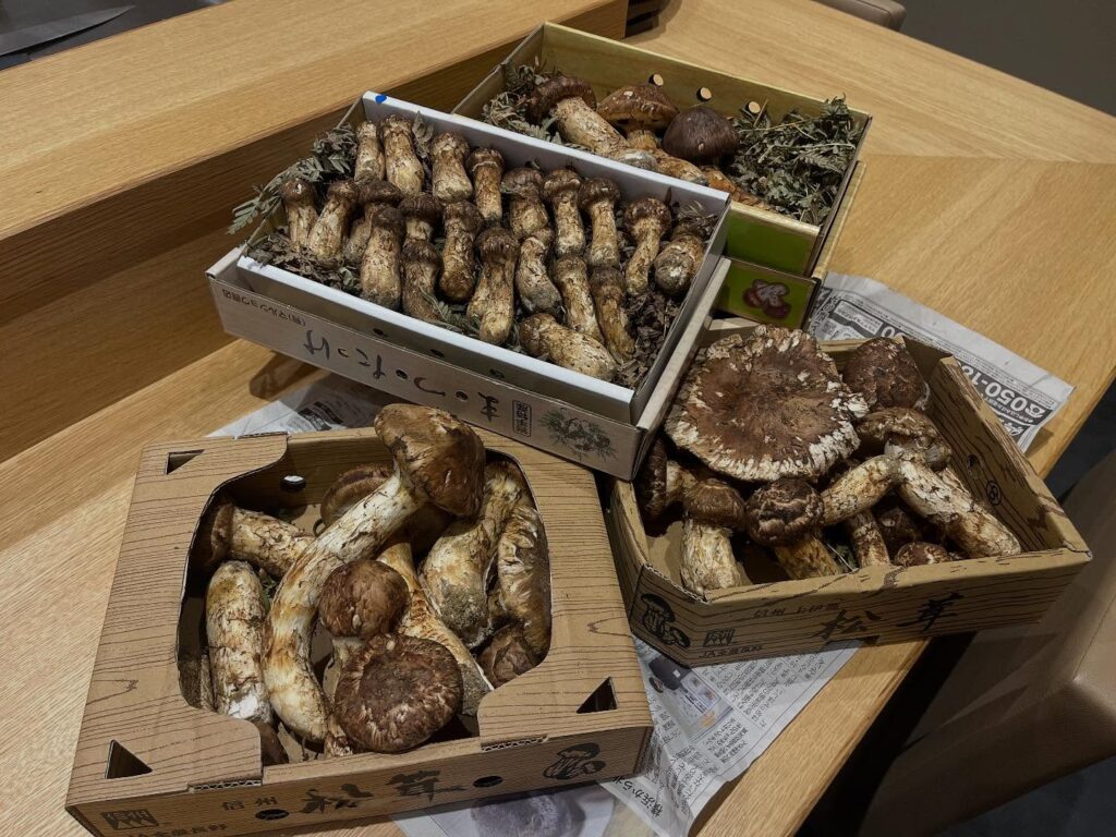 2025.10.06 (１) 。